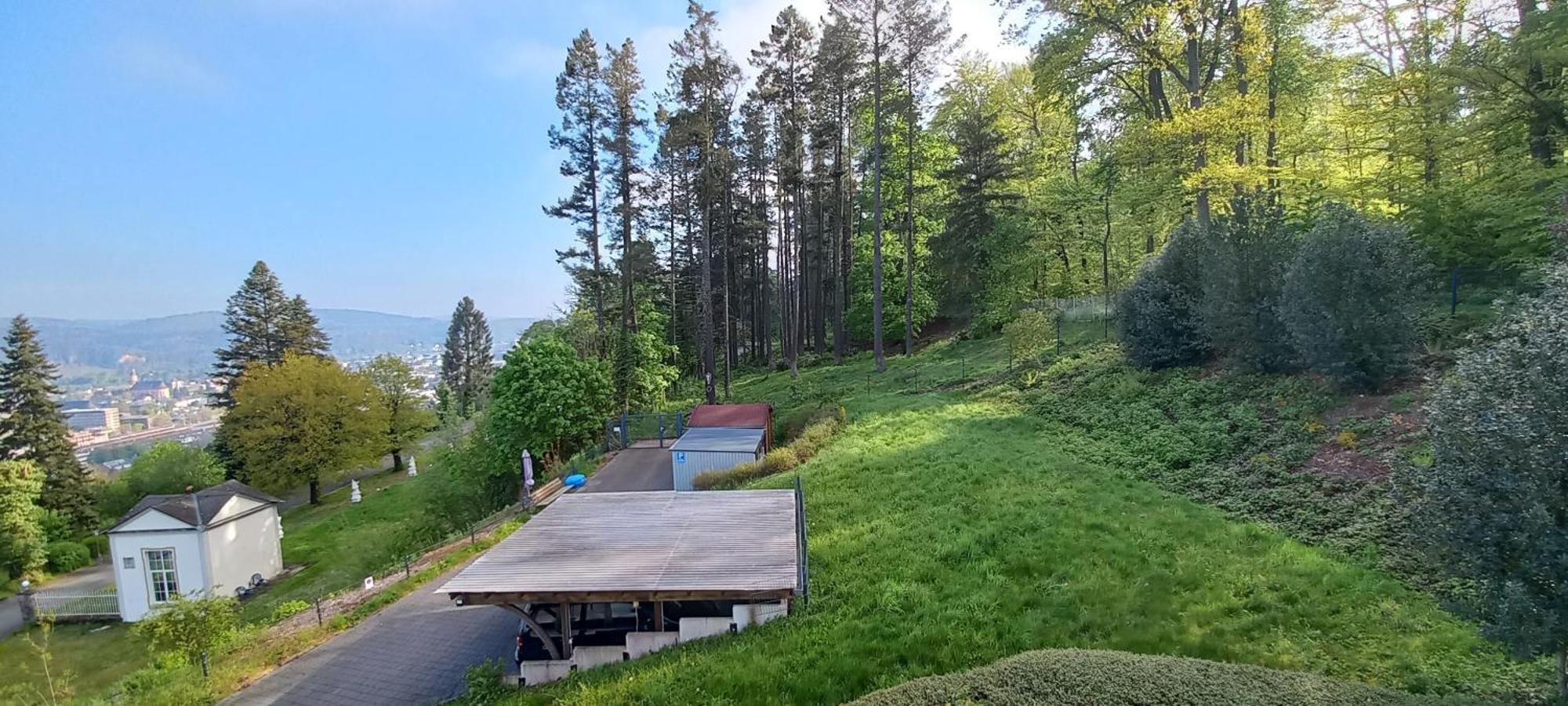 Ferienwohnungen Petrisberg Trewir Pokój zdjęcie